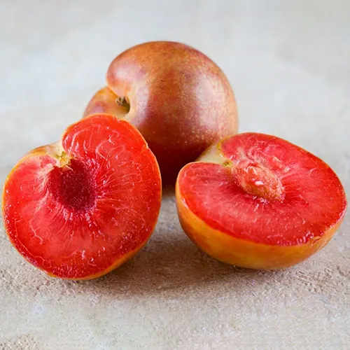 Саджанці абрикос+слива+персик "Нектакотум"